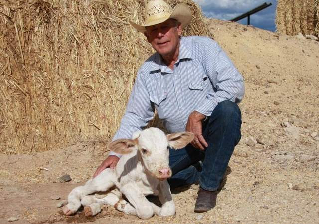 Nevada Rancher Prepares To Die As Feds Invade - [Contains Video By Cliven and Carol Bundy]