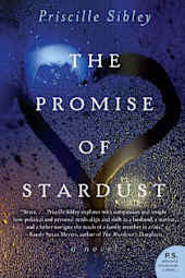 The Promise of Stardust