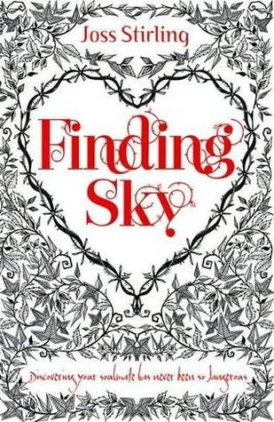 Finding Sky PDF