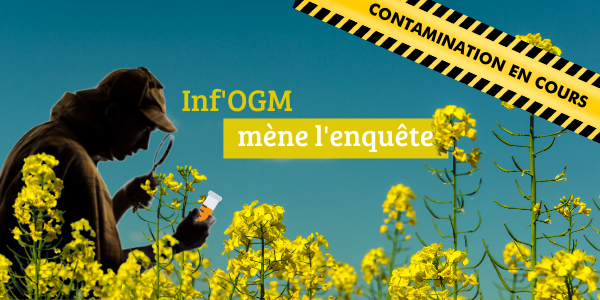 Contamination en cours - Inf'OGM mène l'enquête