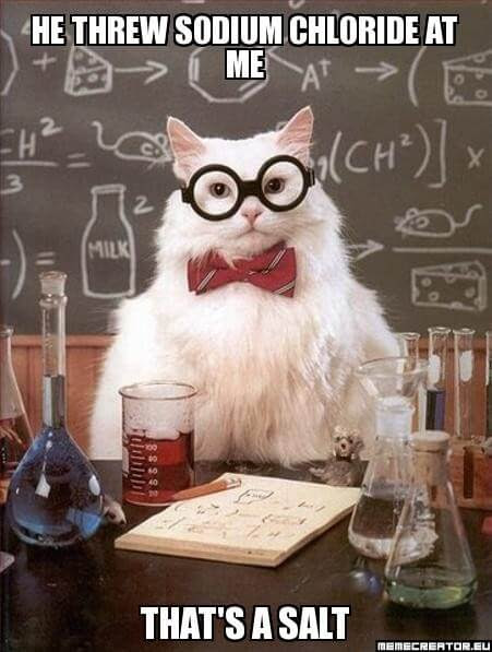 geeky-puns-hard-to-understand10