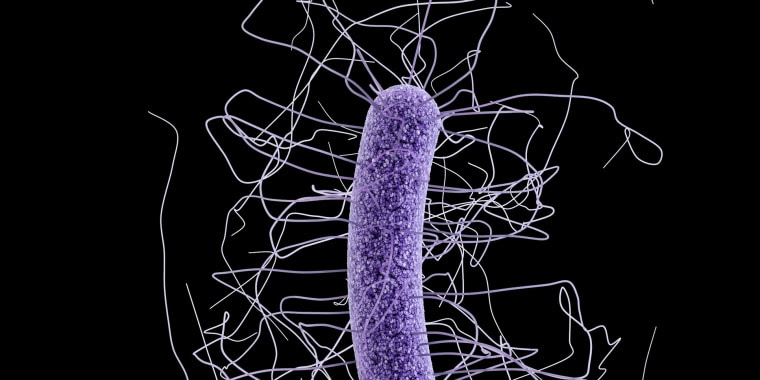 Image: Clostridium difficile