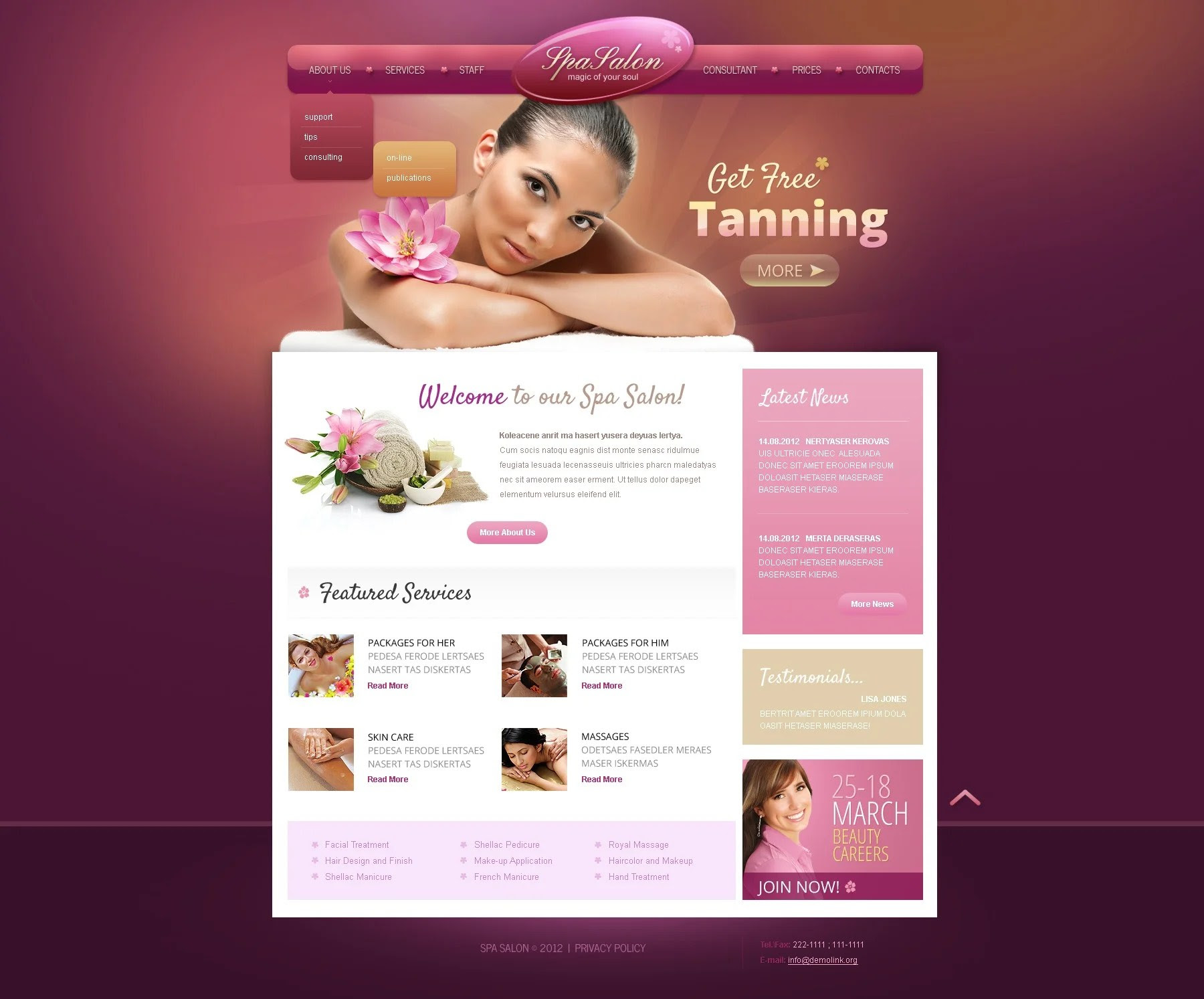 Beauty Salon Website Template 37347