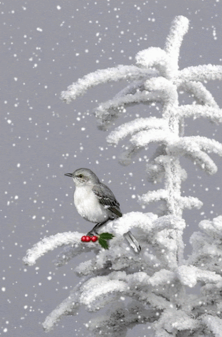 r56GID6MjAxYImHzkxQRV4k2hkB3hB3nH9sFbbfn8EaNHrwFby8B-fNcAd9oiQ32.gif