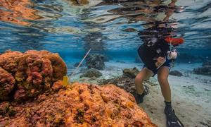 Ученый-океанограф изучает прибрежные воды Американского Самоа. 