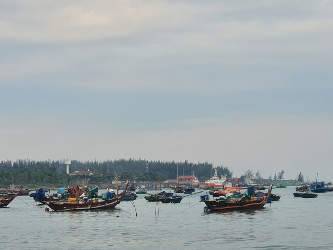  Đà Nẵng: Ô nhiễm môi trường vì tàu ngoại tỉnh khai thác trái phép - Ảnh 2.