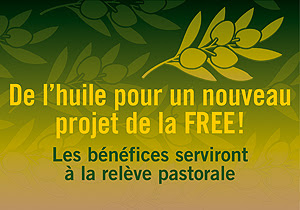 Huile pave