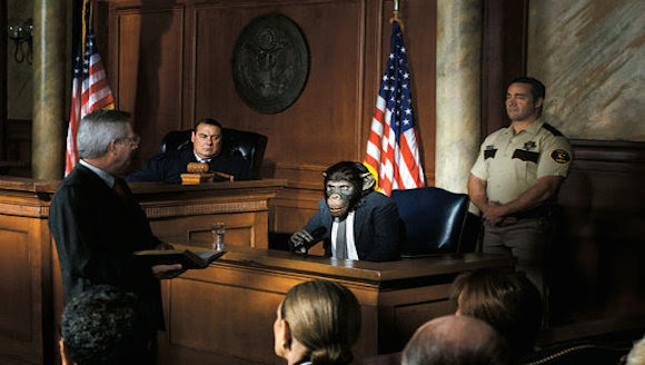 Imagen creada en computadora que acompaña la nota sobre el pleito por abuso a un chimpancé en The New York Times.