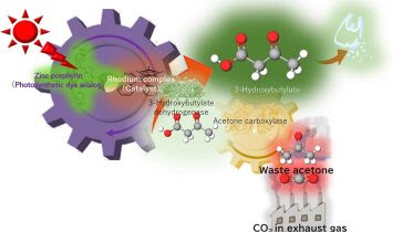 Turning Waste CO2 and Acetone Into Biodegradable Plastic Precursor