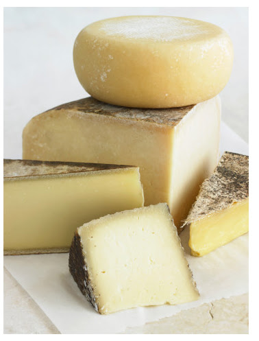 cheese! cheese!