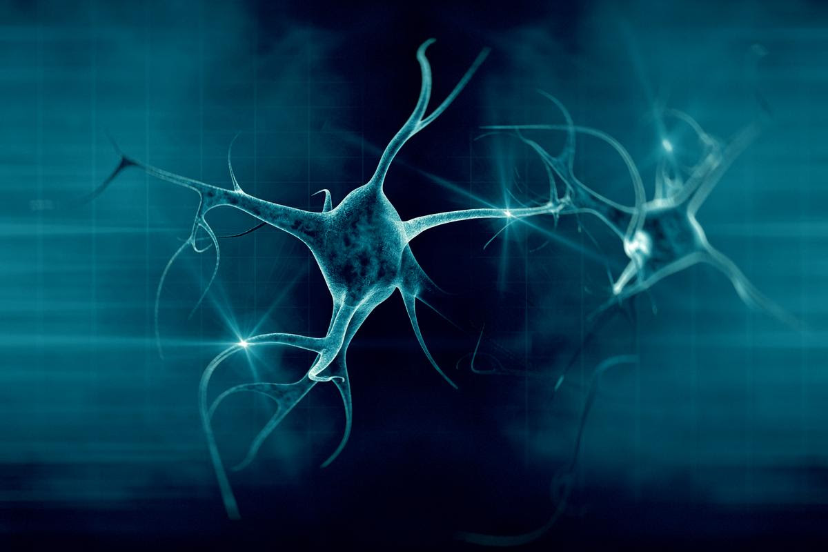 Yale researchers have captured on video how the brain clears out a dead neuron