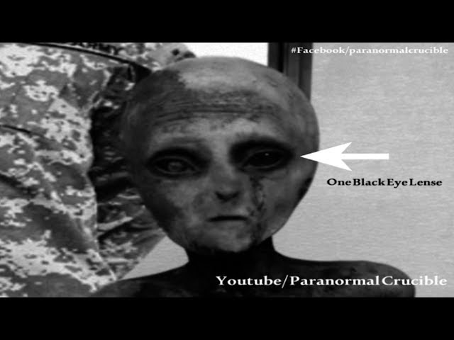 OMG!! Alien Captured Alive In New Mexico???? :) plus MORE ALIEN INFO  Sddefault