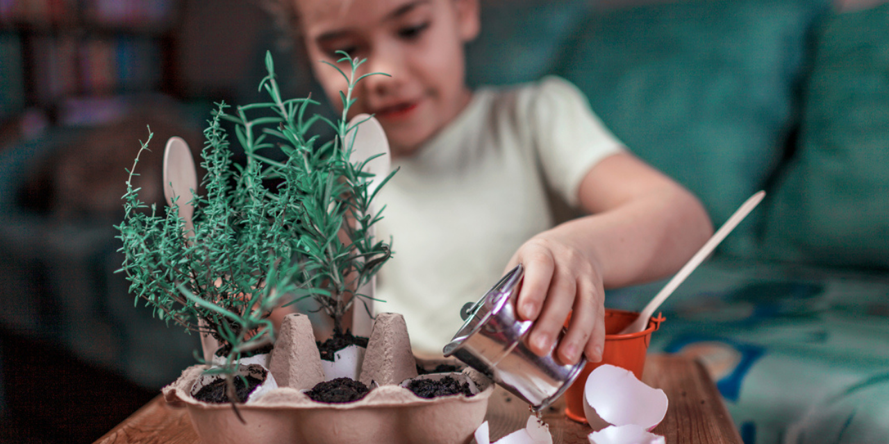 DIY Herb Garden