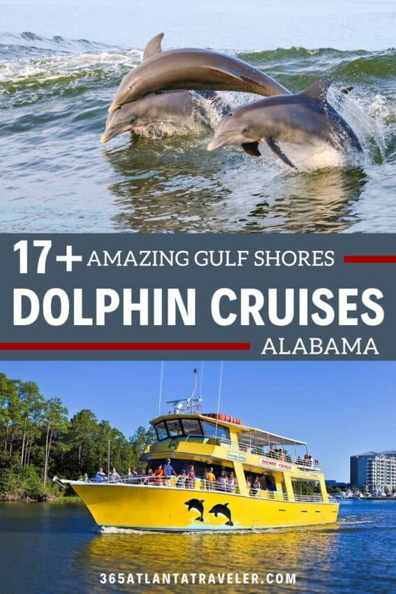 Dolphin Cruise Gulf Shores 17+ Amazing Tours Youâ€™ll Love