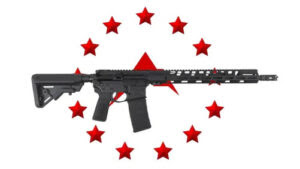 Rainier Arms Has Launched Their DI RUC Rifle – It’s an &#8216;Urban Combat&#8217; Build