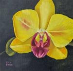 Yellow Orchid Daily Floral Painting by Patty Ann Sykes - Posted on Friday, April 3, 2015 by Patty Sykes