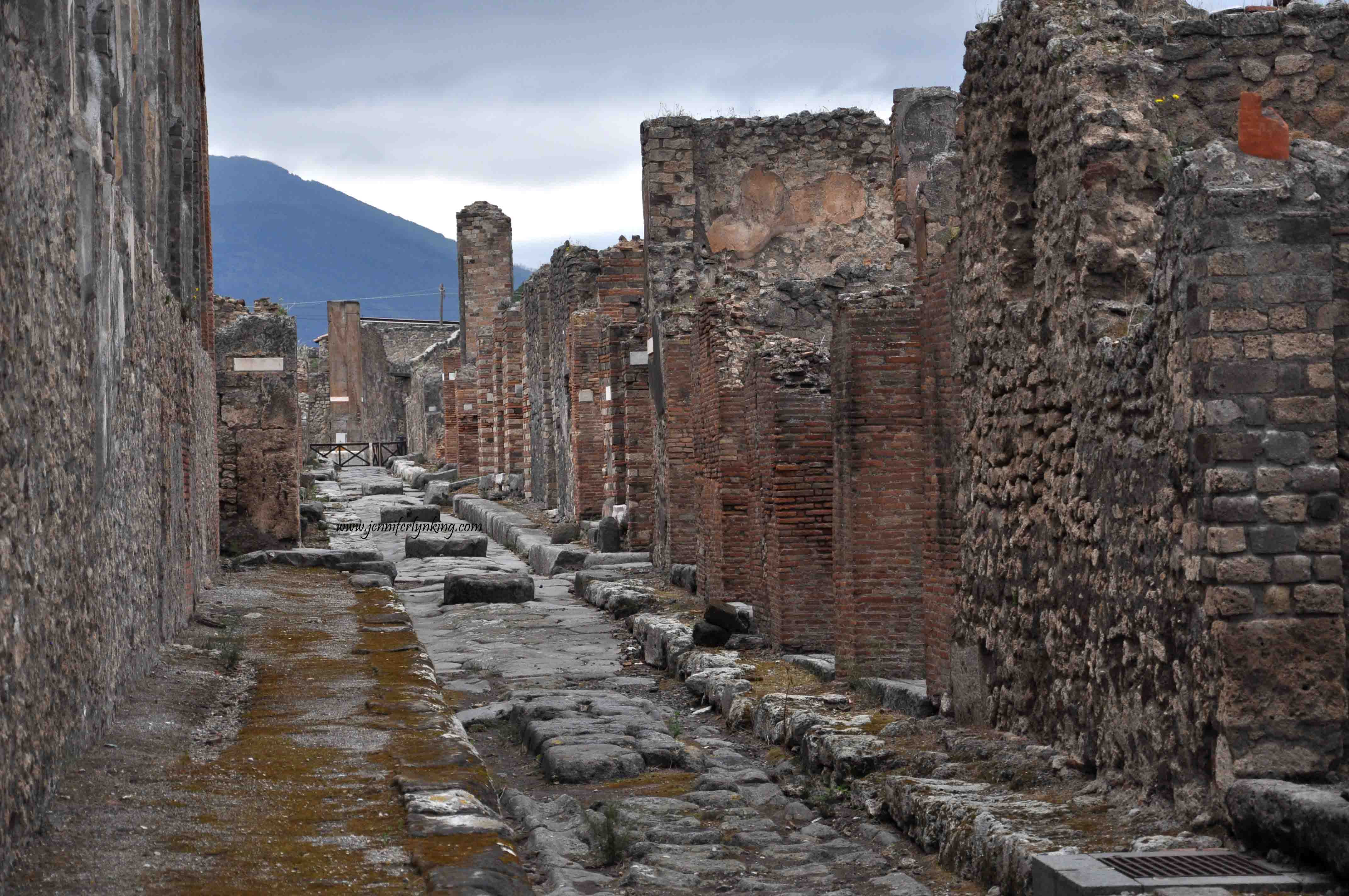 79 and buried the city under a mantle of ash and rock, a local worker scrawled an. Life and Death in Pompeii and Herculaneum The Daily Norm