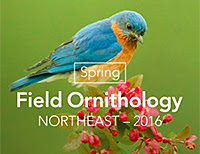 spring field ornithology course now available online