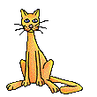 GATO BOCEJA