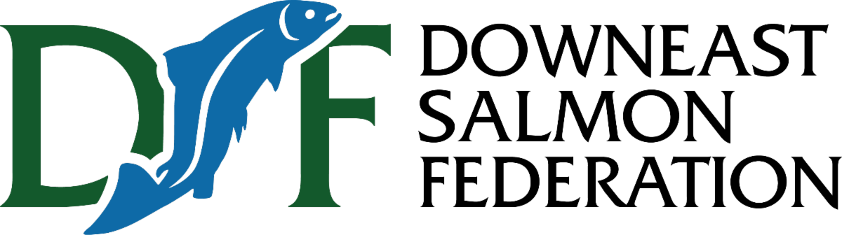 2020 DSF Logo