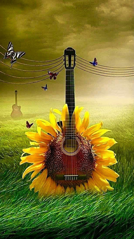 Music-Guitar-Sunflower