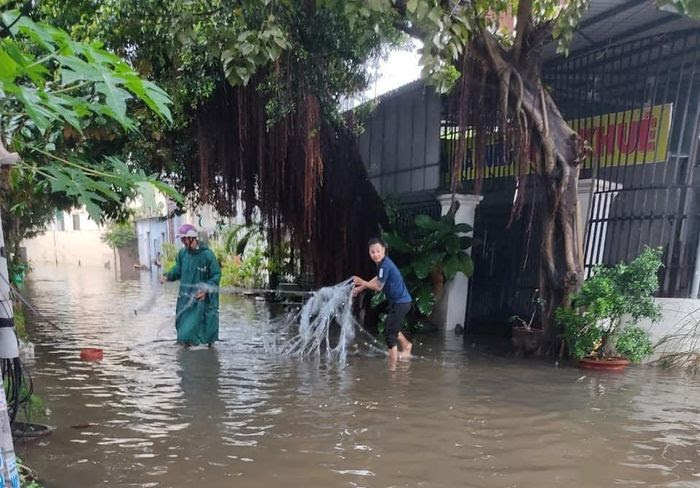 Nhiều người tranh thủ thả lưới ngay trên đường phố để bắt cá