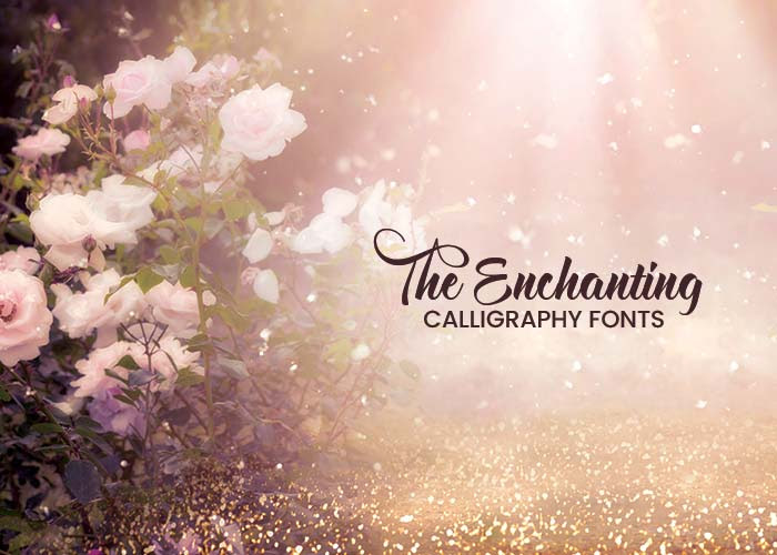 92% Off + 10% Off Pixelo Coupon: The Enchanting Calligraphy Fonts 