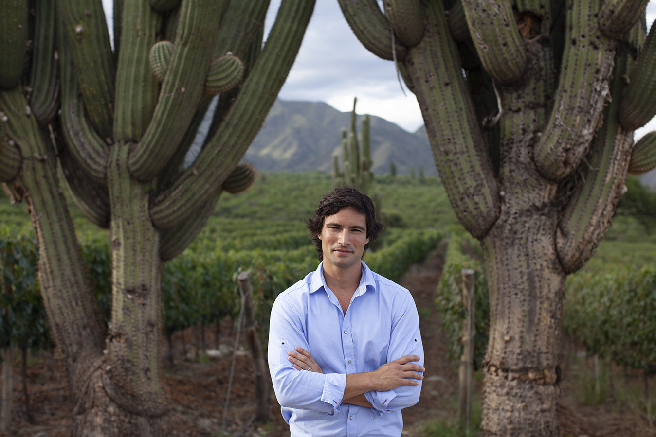 Pancho Lavaque: cuál es el vino de Salta más innovador, malbec argentino de altura - Noticias económicas, financieras y de negocios - El Cronista