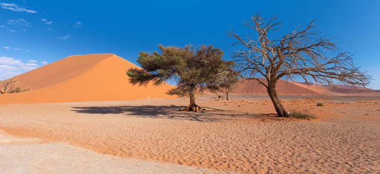 Afbeeldingsresultaat voor afbeelding namibie