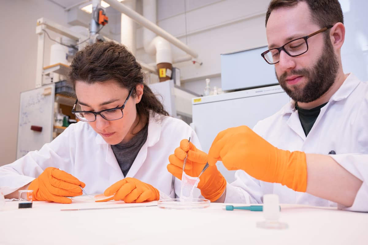 PhD students Elisa Zattarin and Olof Eskilsson work with the color-changing dressing