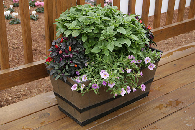 DESIGNING GORGEOUS CONTAINER GARDENS 3-Mix-in-Edibles