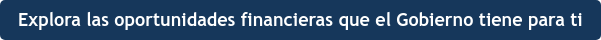 Explora las oportunidades financieras que el Gobierno tiene para ti