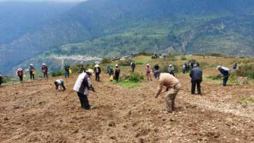 Agro Rural dio inicio a la Campaña de Siembra de Pastos y Forrajes 2021-2022 en Lima Provincias
