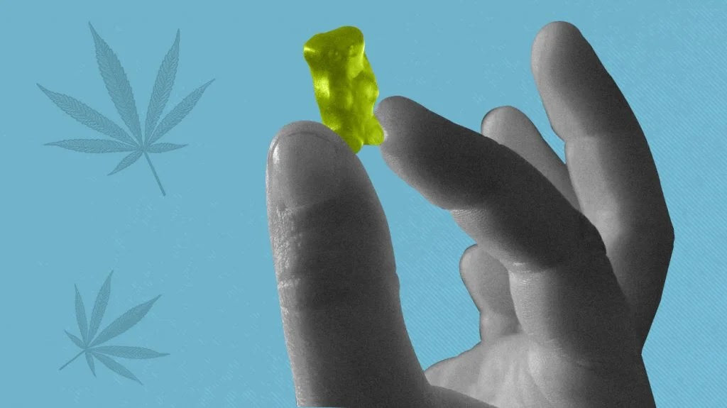 Hemp gummies vs CBD gummies: What to know