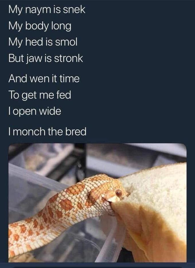 My naym is snek My body long My hed is smol But jaw is stronk And wen it time To get me fed l open wide l monch the bred Snakes