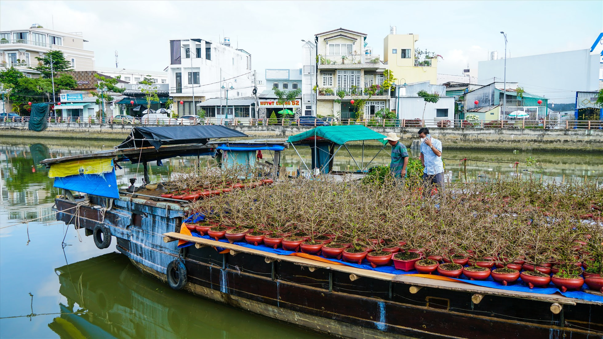 Ghi nhận tại đường Hoàng Văn Thụ, Hùng Vương, Huỳnh Cương,…tiểu thương dập dìu chuyển hoa, cây kiểng lên bờ từ ghe, xuồng.