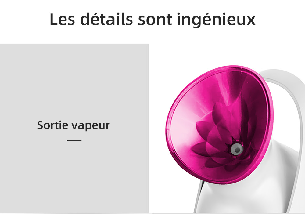 Appareil électrique à vapeur pour le visage