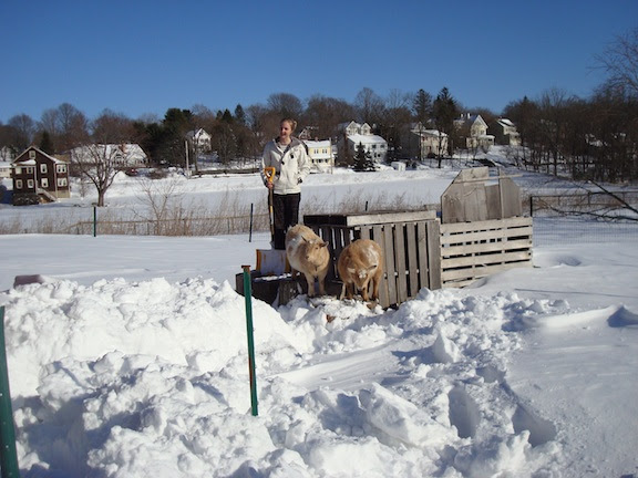 shovels