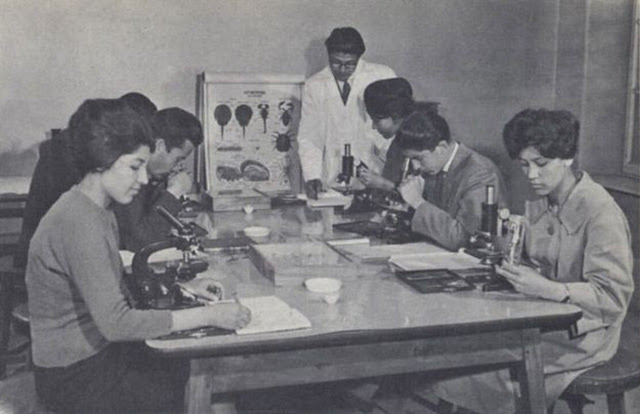 Những hình ảnh khó tin cách đây hơn nửa thế kỷ về một Afghanistan tươi đẹp và hiện đại - Ảnh 24. Những hình ảnh khó tin cách đây hơn nửa thế kỷ về một Afghanistan tươi đẹp và hiện đại - Ảnh 24.