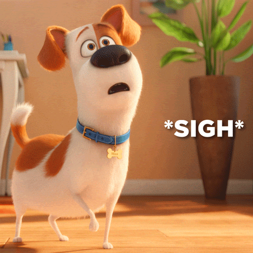 Movie gif. Max the dog from Secret Life of Pets stands at attention with one front paw off the floor, his ears perked up, and an alert expression before sighing, dropping his paw and shoulders and looking at the floor. Text, 