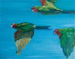 Red Masked Parakeets - Posted on Tuesday, January 27, 2015 by Cynthia Mahlberg