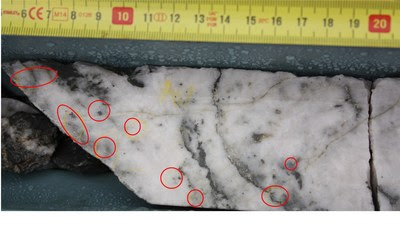 Figure 2 - HVD006 Visible gold (circled) within interval 135.1  135.7m downhole (CNW Group/E79 Resources Corp.)