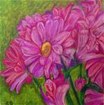 Pink Daisys - Posted on Monday, March 16, 2015 by Elaine Shortall