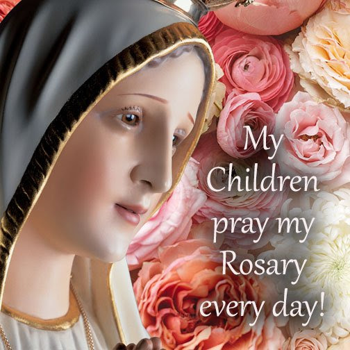 America Needs Fatima on Twitter: "Do you pray the #rosary everyday? "