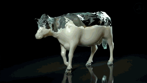 milk