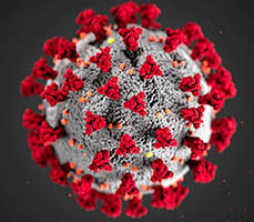 Coronavirus virus under the microscope