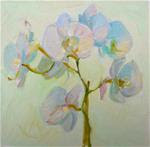 Orchids,still life,oil on canvas,8x8,price$200 - Posted on Friday, February 13, 2015 by Joy Olney