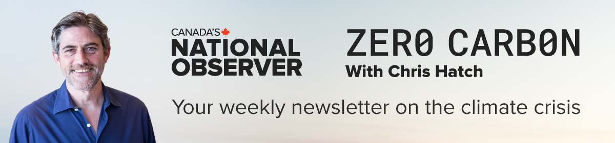 Zero Carbon Newsletter banner