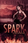 spark-ebook (1)