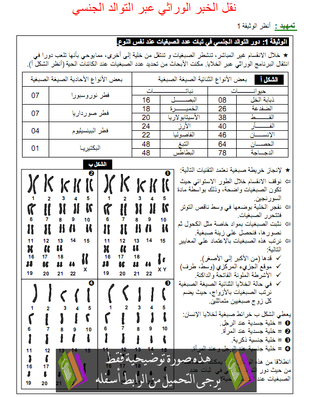 درس علوم الحياة والأرض: نقل الخبر الوراثي عبر التوالد الجنسي – الثانية باكالوريا علوم رياضية Nakl-alkhabar-alwirati